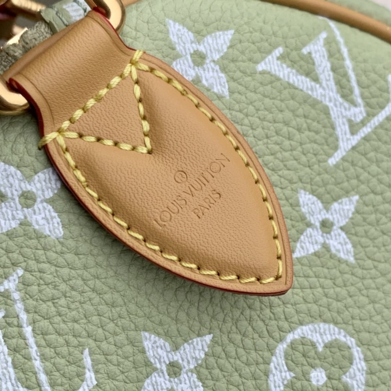 LV Speedy Bags